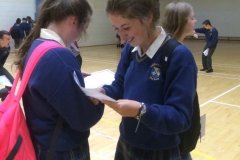 Colaiste Bhride Carnew Junior Cert results 2015