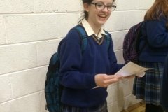 Colaiste Bhride Carnew Junior Cert results 2015