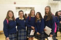 Colaiste Bhride Carnew Junior Cert results 2015