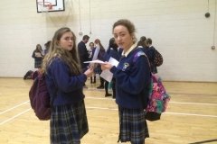 Colaiste Bhride Carnew Junior Cert results 2015