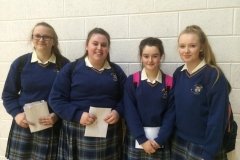 Colaiste Bhride Carnew Junior Cert results 2015