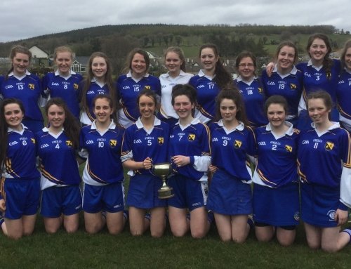 Senior Camogie Cup Winners!