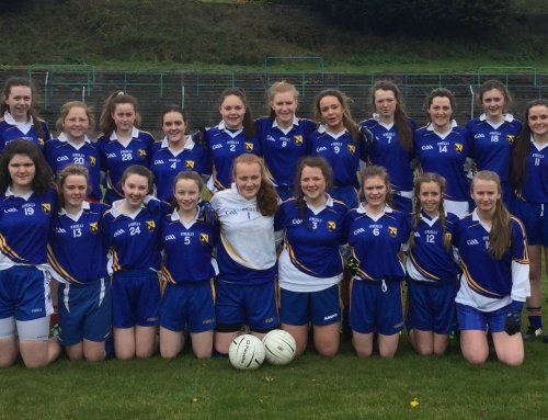 Junior Ladies Football County Champions 2016